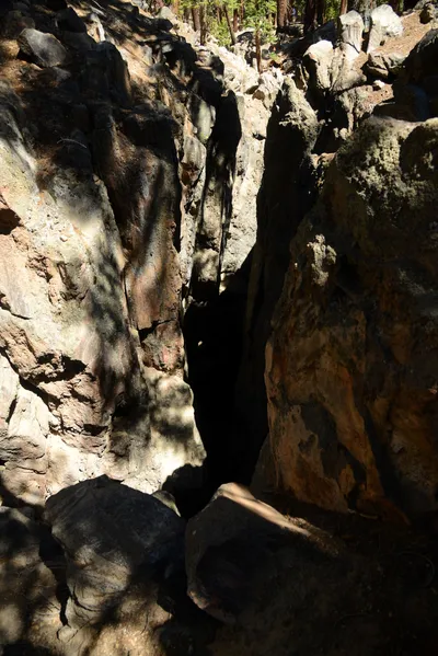 DSC_9974 (Large).JPG